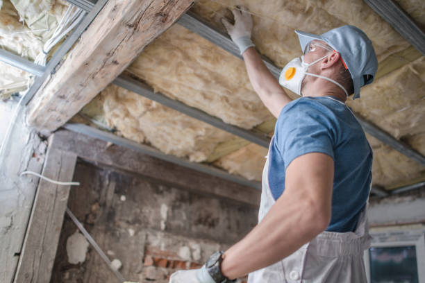 Best Insulation Materials and Products in Oskaloosa, KS